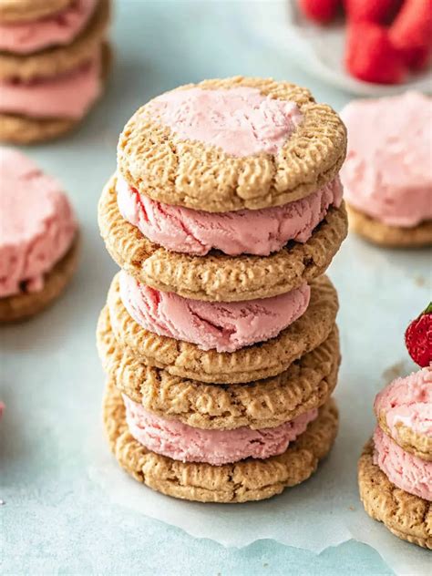 Delicious Vegan Ice Cream Sandwiches That Are Irresistibly Creamy