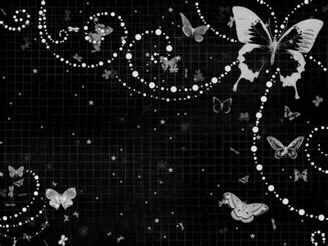 Black and White Butterfly Wallpapers - Top Free Black and White ...