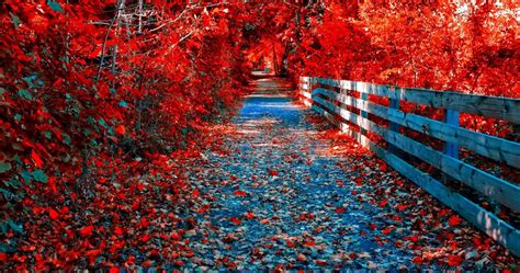Red Autumn Wallpapers - Wallpaper Cave