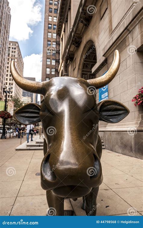 financial bull symbol stock photo image  index metaphor