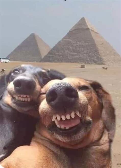 Fotos Para Grupos De Discord