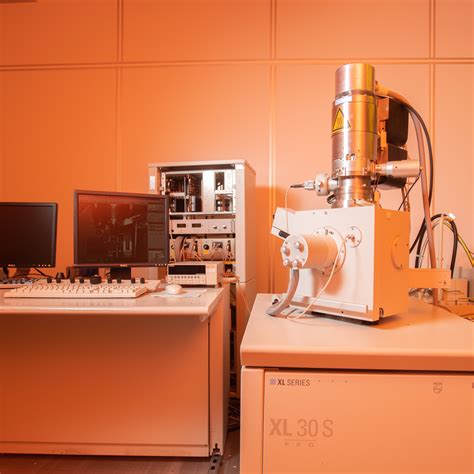 S Electron Microscopy - Scanning Electron Microscopy Helps Us at David Desantis blog