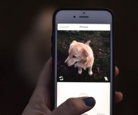 How Social Media Is Reshaping the Way We Communicate – Misti Blu Day