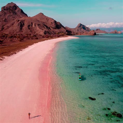 pink beach komodo island indonesia exploring  ultimate wonders