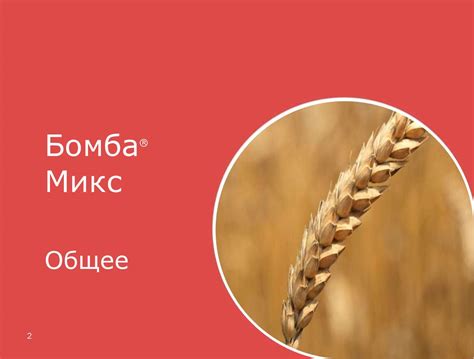 Бомба-Микс. Гербицид - презентация онлайн
