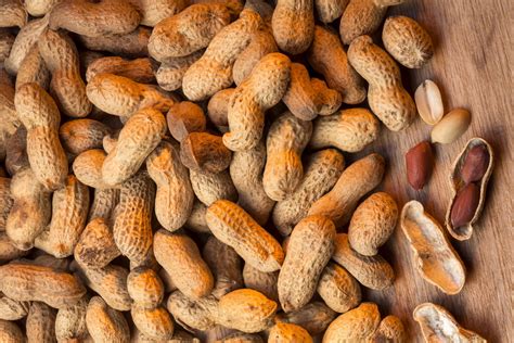 peanuts meat food pyramid  ellis brashears blog