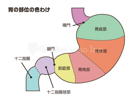 pfrkr
