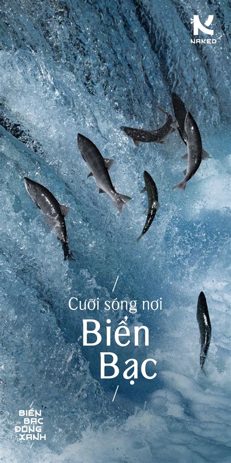 Naked Sushi | Ho Chi Minh City