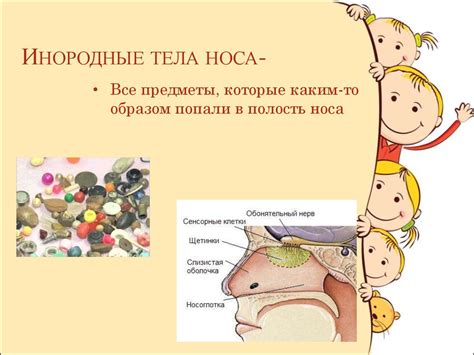 Инородные тела носа - презентация онлайн
