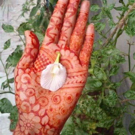 সাজসজ্জা