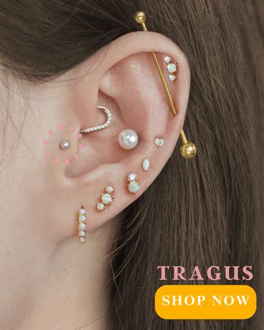 Tragus and Antitragus Piercing – EricaJewels