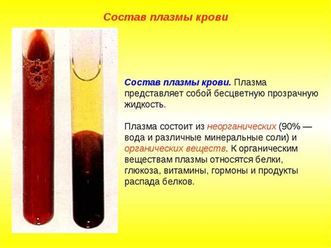 Плазма Крови фото