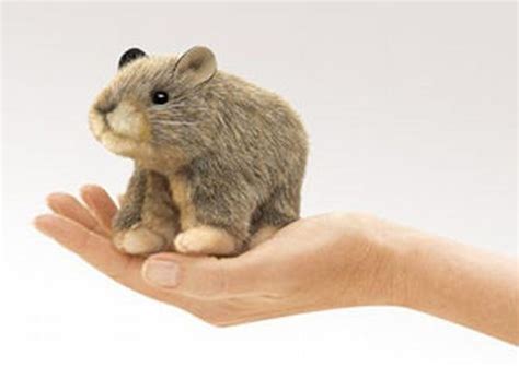 Shop Online Mini Pika at ₹569