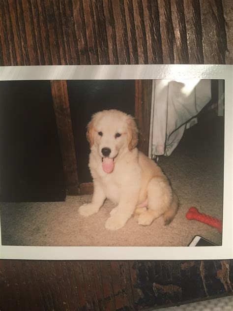 My new little girl Spud :) (aka Spudnik or Spud Lightyear) : r