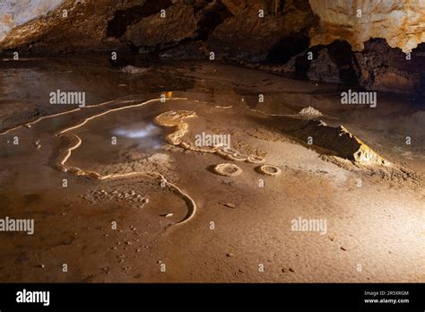 Stalagmites, stalactites, limestone deposits, Lipa Cave, Lipska pecina ...