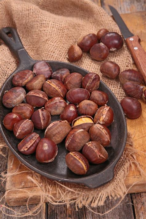 Roasted chestnut stock image. Image of cooking, roasted - 63045471