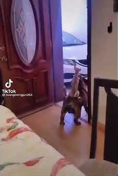 Разборки в Бронксе - YouTube