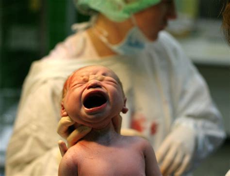 Birth Free Stock Photo | FreeImages