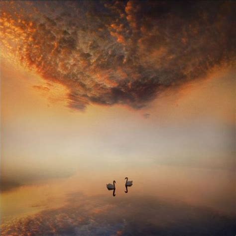 Beautiful Pictures | Others