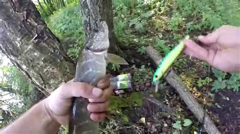 Щука на воблер Kosadaka ION 130 + slowmotion - YouTube