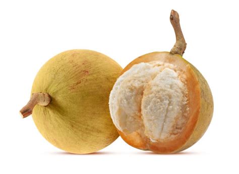 230+ Sentol Stock Photos, Pictures & Royalty-Free Images - iStock