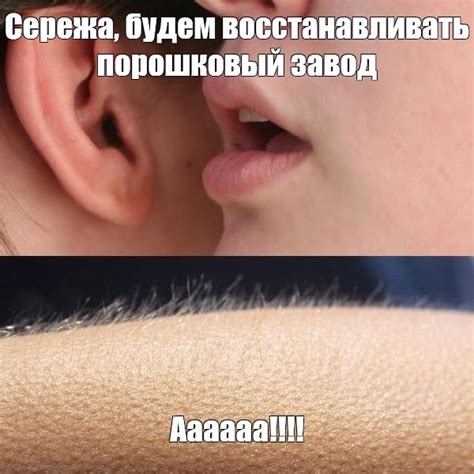 Мем: "Сережа, будем восстанавливать порошковый завод Аааааа!!!!" - Все ...