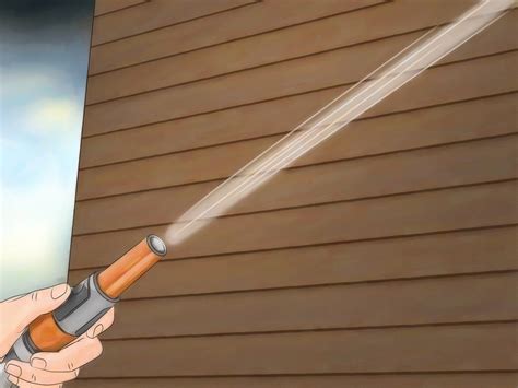 get rid of the werewolf in the garden 5