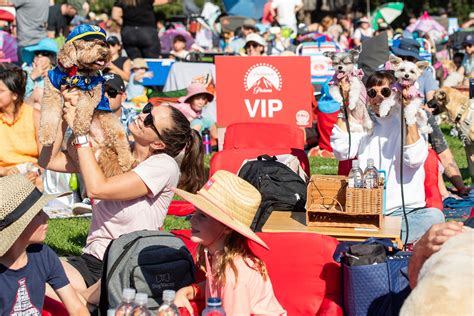 Hundreds of dogs set Guinness World Record -- for attending a movie...