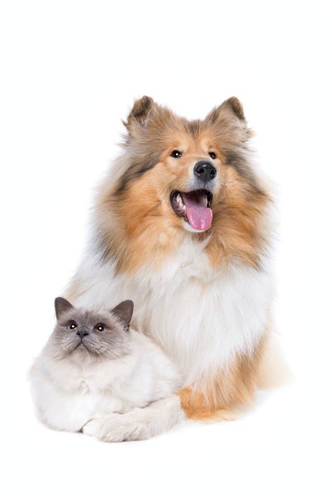 Eco-friendly options will soon arrive at island cremations 20