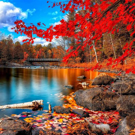 Download Autumn Nature iPad Wallpaper | Wallpapers.com