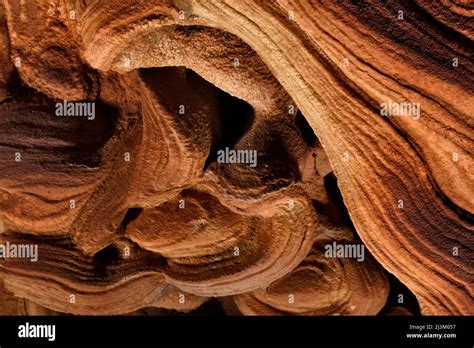 Detail of a gypsum crusted formation inside a cave in Auyan Tepui ...