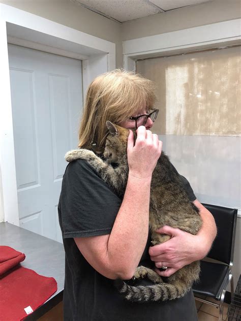 Cat reunites with owner after 11 years Pawsitive News: Eleven years