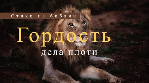 Гордость - YouTube