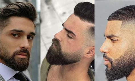 Modelos De Barba Masculina