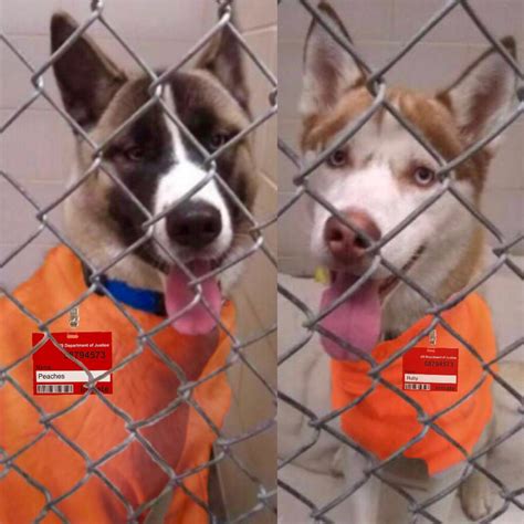 Recycling Question – Shredded Paper : r/Minneapolis