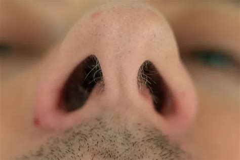 Huge human nose Stock Photos, Royalty Free Huge human nose Images ...