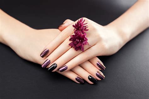 Meraki Nail Lounge | Best Choice Nails Salon in Saint Petersburg ...