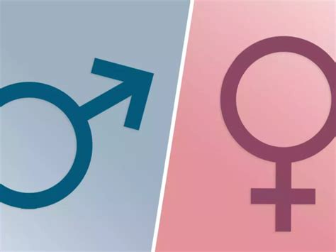 Cisgênero O Que Significa - Qué significa ser una persona cisgénero | La 100