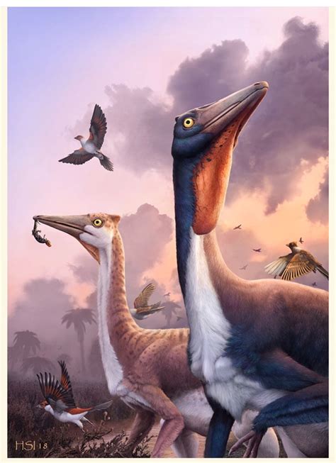 Dawn at Las Hoyas Wetland, Spain: Two specimens of the ornithomimosaur ...