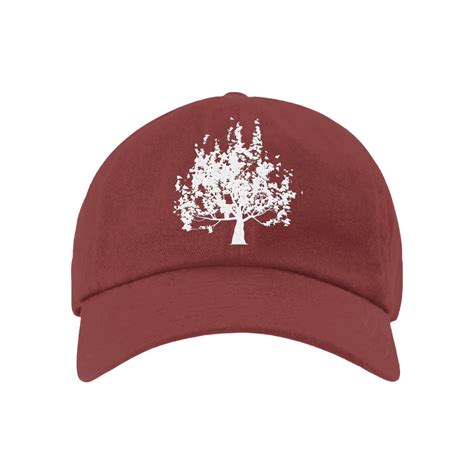 Snow Patrol - Official Store - Official Store - Shop Exclusive Music