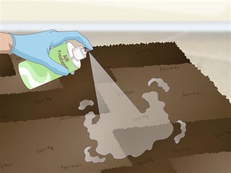 How to Get Dog Urine Smell out of Carpets: 4 Easy Tricks