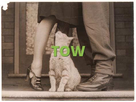 TOW Meaning » Slang term definition & example usage » Slang.org