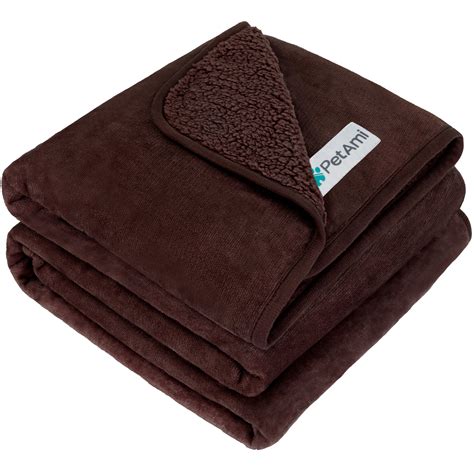 Why Would A Dog Pee On A Blanket at Victoria Brownlee blog