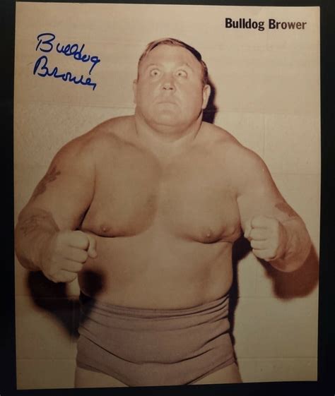 Samoan Wrestler Bulldog