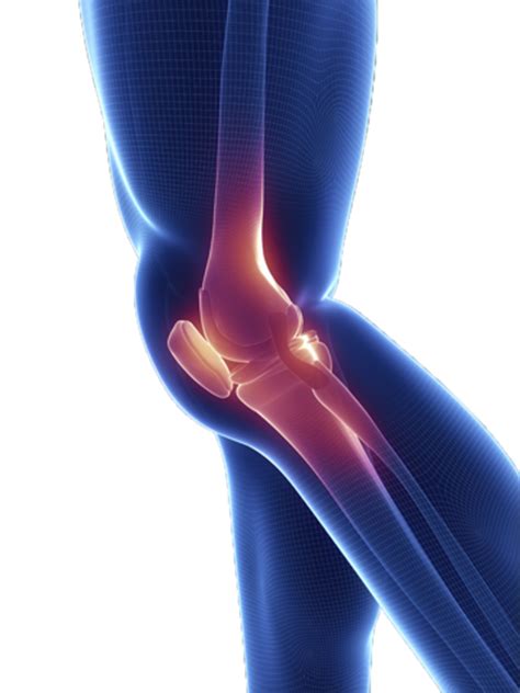 Product Your Knee When You Exercises - VITAL SALVEO