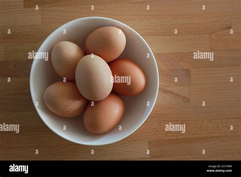 dozen eggs  res stock photography  images alamy