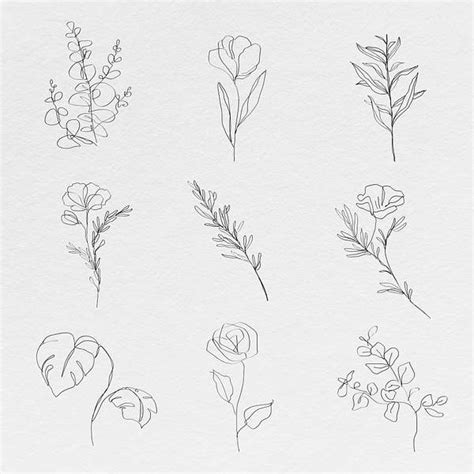Flower Line Vectors | Free Illustrations, Drawings, PNG Clip Art