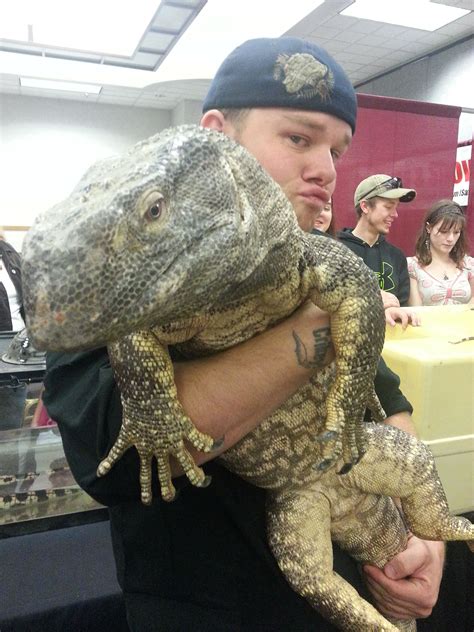 Biggest Pet Lizards at Darrel Ferreira blog
