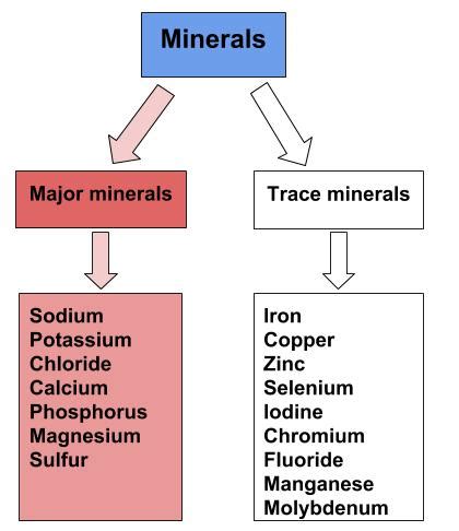 9.1: Introduction to Major Minerals - Medicine LibreTexts