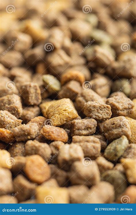 dry kibble pet food dog  cat food stock image image  nutrition